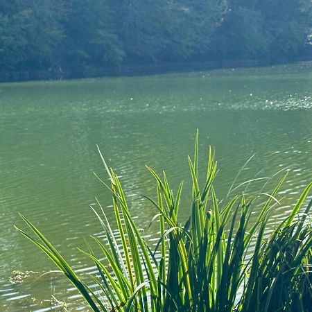 Lac De Lumiere. Relax With Rural Lakeside Living Herry Екстериор снимка