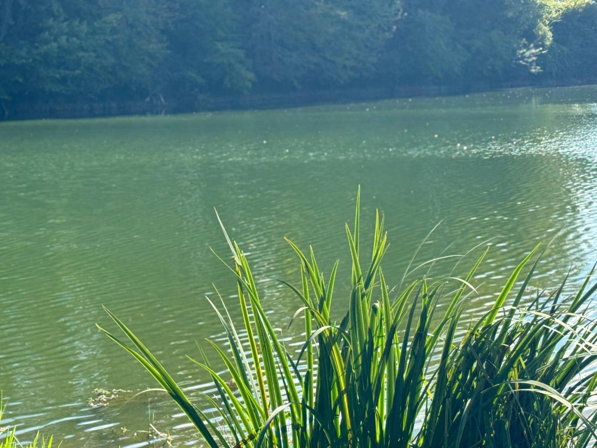 Lac De Lumiere. Relax With Rural Lakeside Living Herry Екстериор снимка